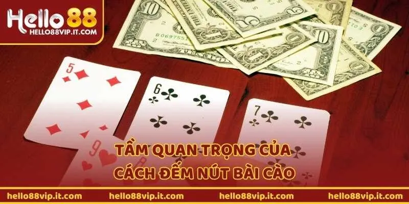 Tầm quan trọng của cách đếm nút bài cào